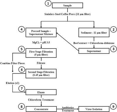 CaFÉ: A Sensitive, Low-Cost Filtration Method for Detecting Polioviruses and Other Enteroviruses in Residual Waters